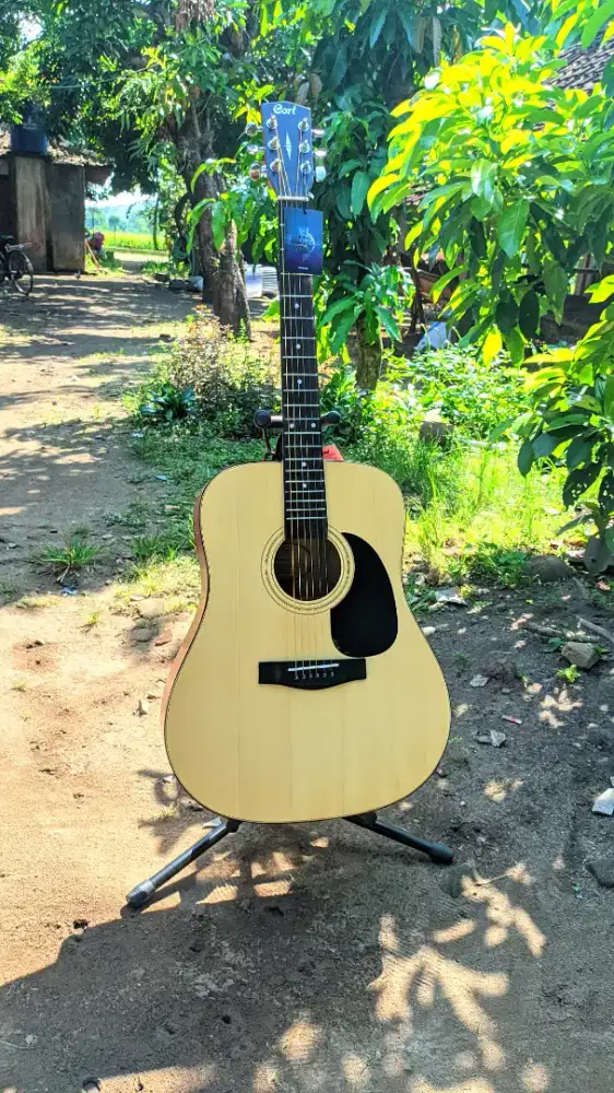 Gitar Akustik Cort AD810 High Quality Baru
