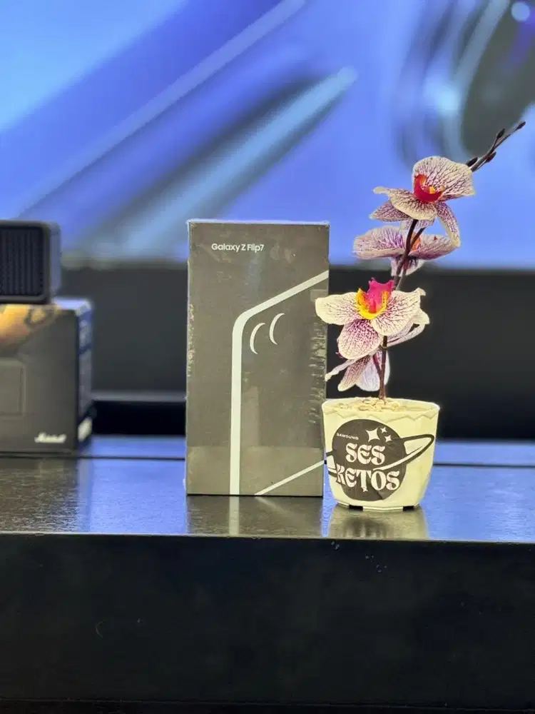 Samsung Z Flip7