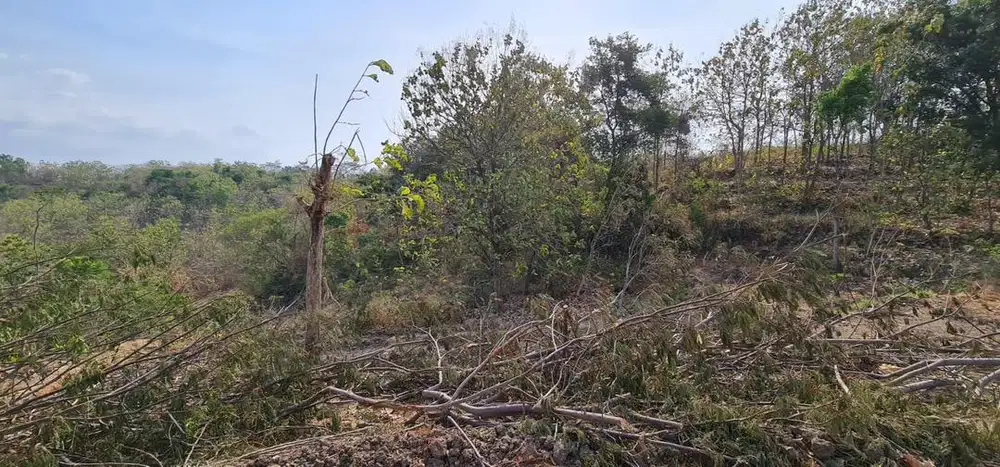 Tanah Pekarangan Jatikuwung 3.121 M2