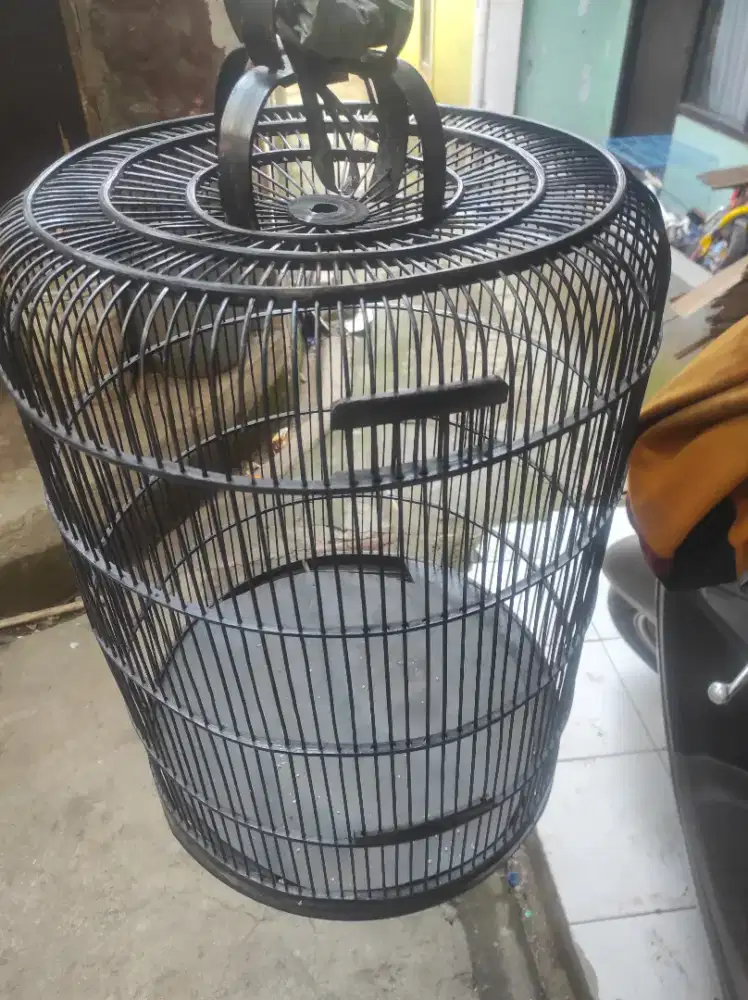 Kandang burung murai nomor 3