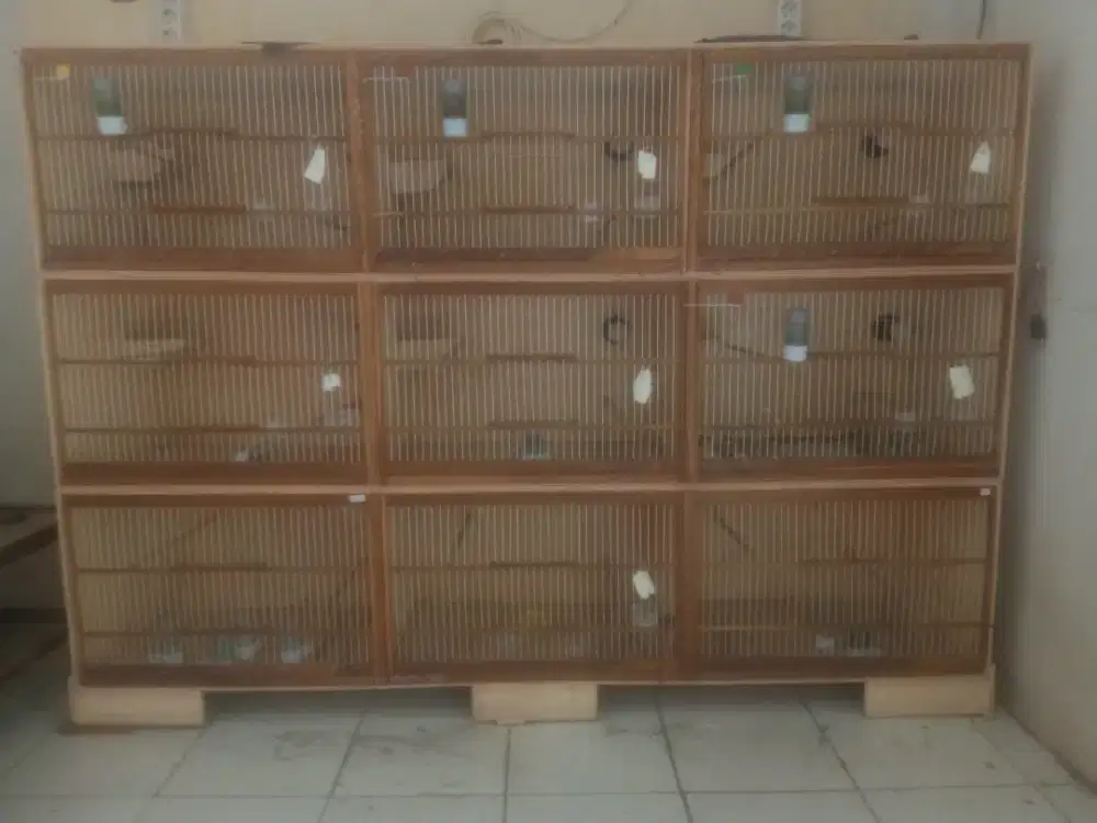 Kandang ternak burung