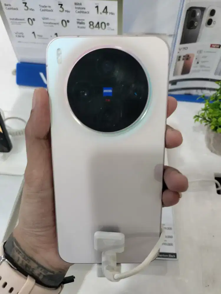 Vivo X300 series