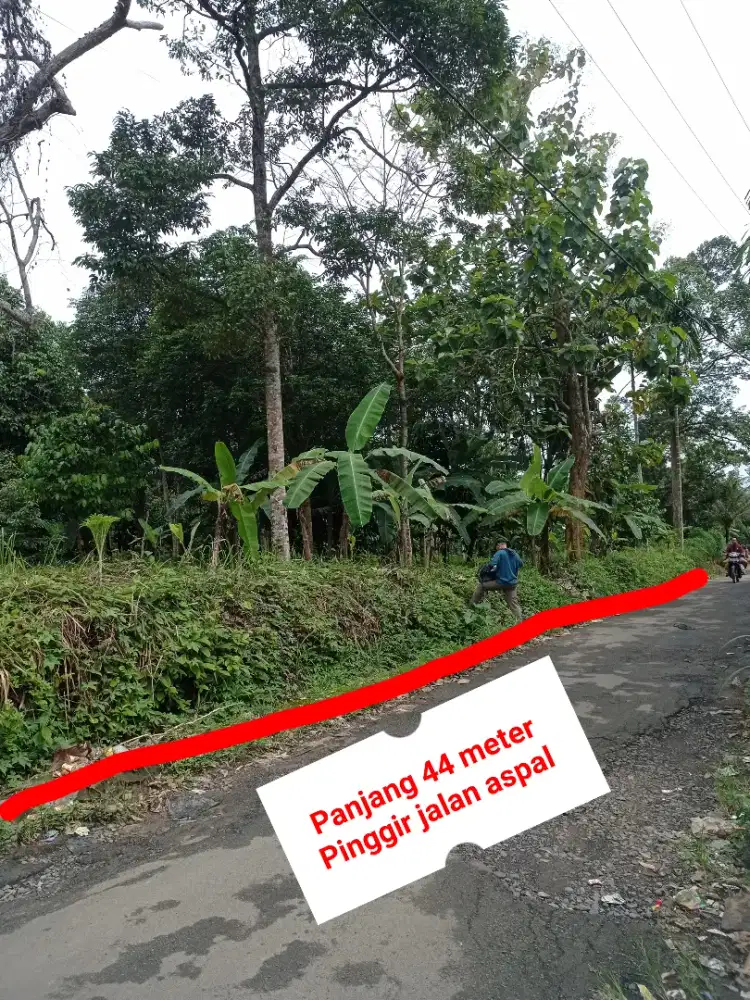 Jual Cepat Tanah Milik Pribadi