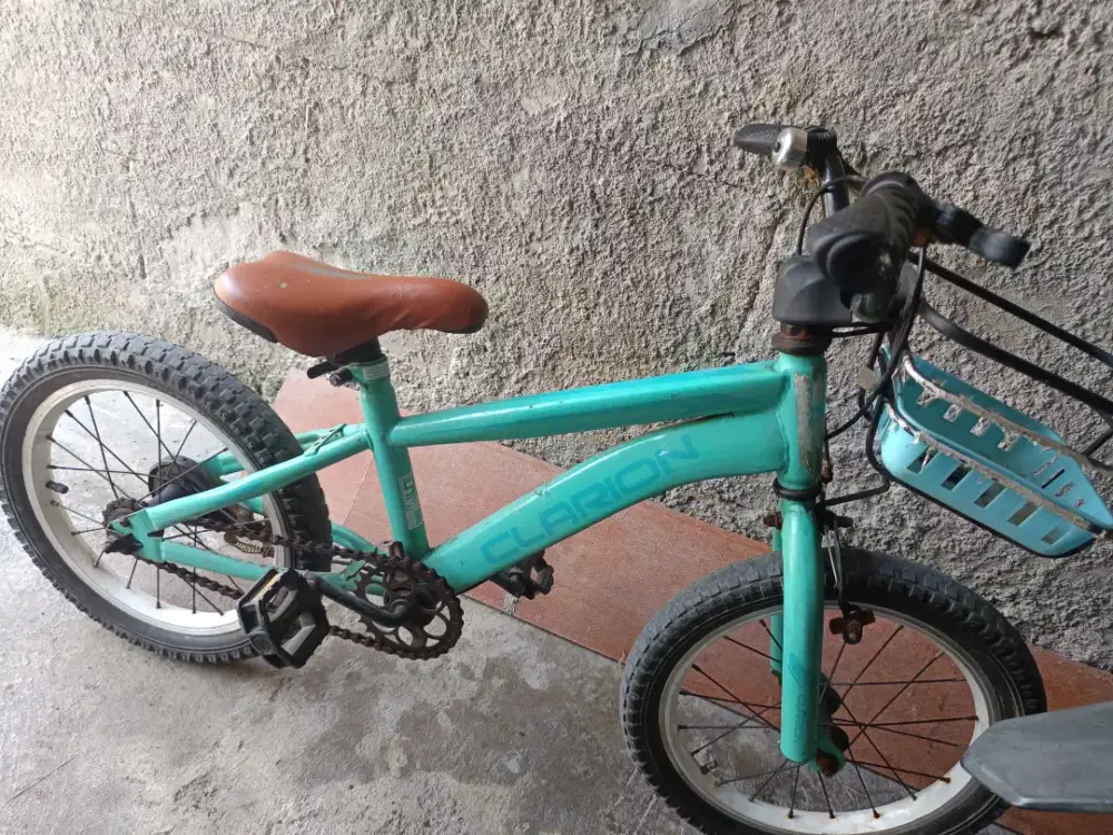 Sepeda anak cewek / cowok