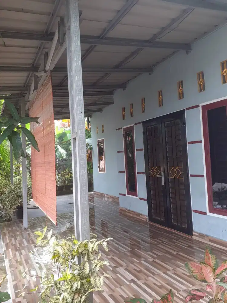 Dijual Rumah SHM Luas 307m² di Sei Rotan – Lokasi Strategis & Nyaman
