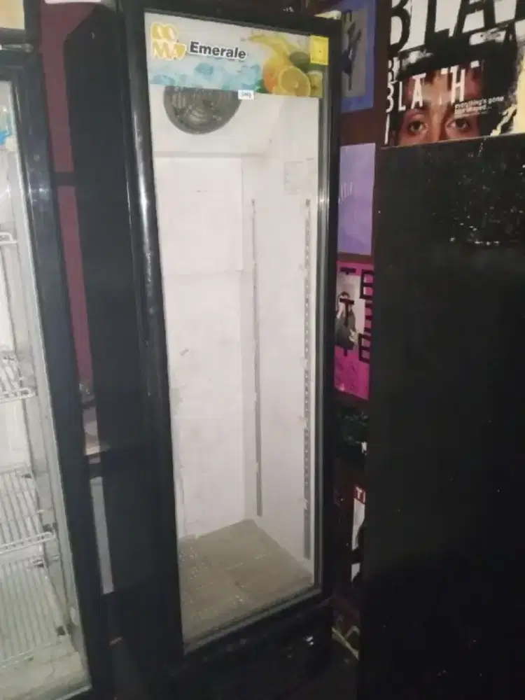 Showcase Chiller Starcool EZ-300, 280 Liter, 1 unit,