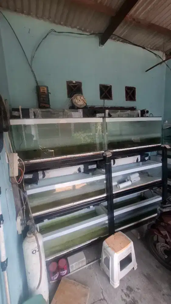 Jual aquarium siap pakai