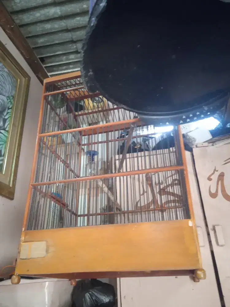 Jual aja 2 sangkar burung kotak masih bagus yg satunya fiber.