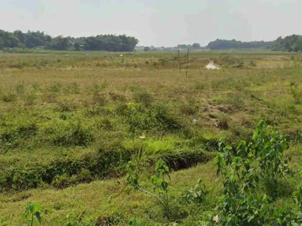 Tanah Murah Sesuai NjOP di Serang Baru Kabupaten Bekasi