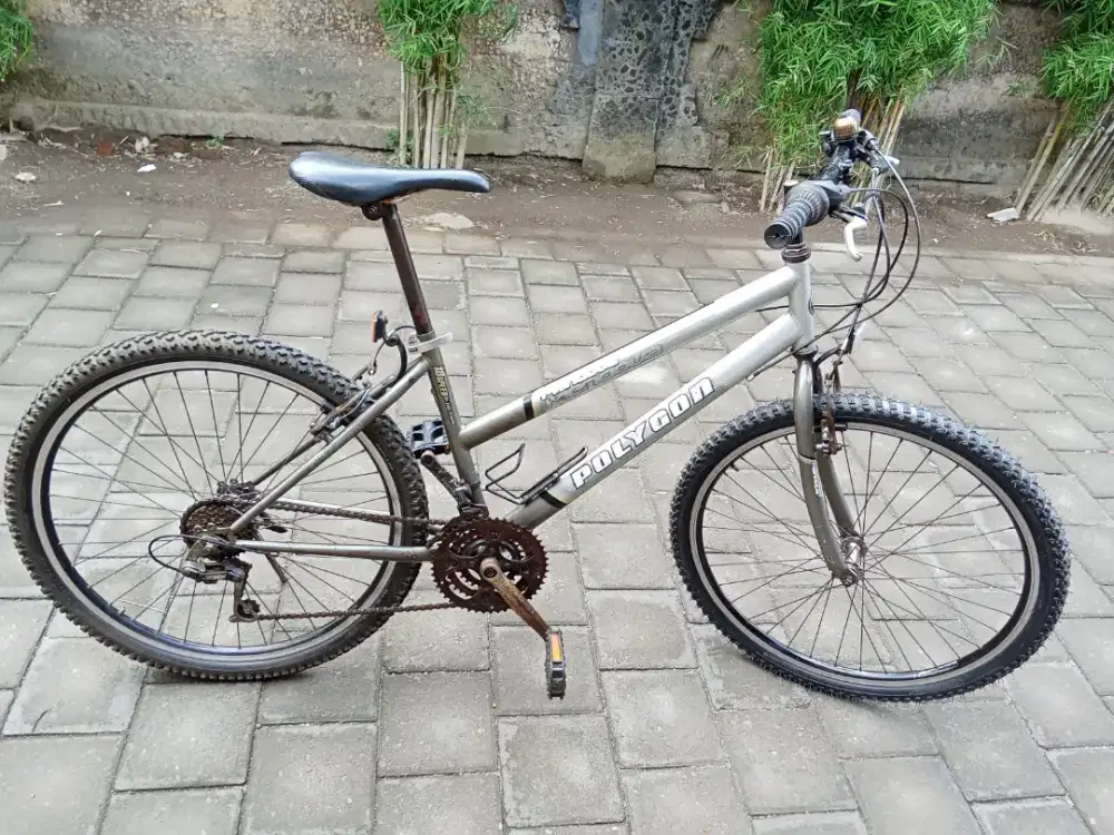 Sepeda POLYGON MENDOVA R 26