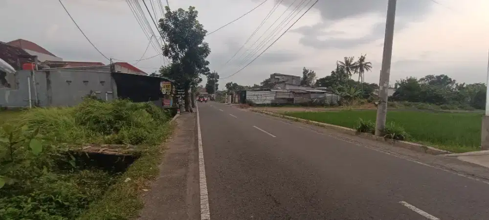 Jual Tanah Jongke Pinggir Aspal 3.200.000 Nego