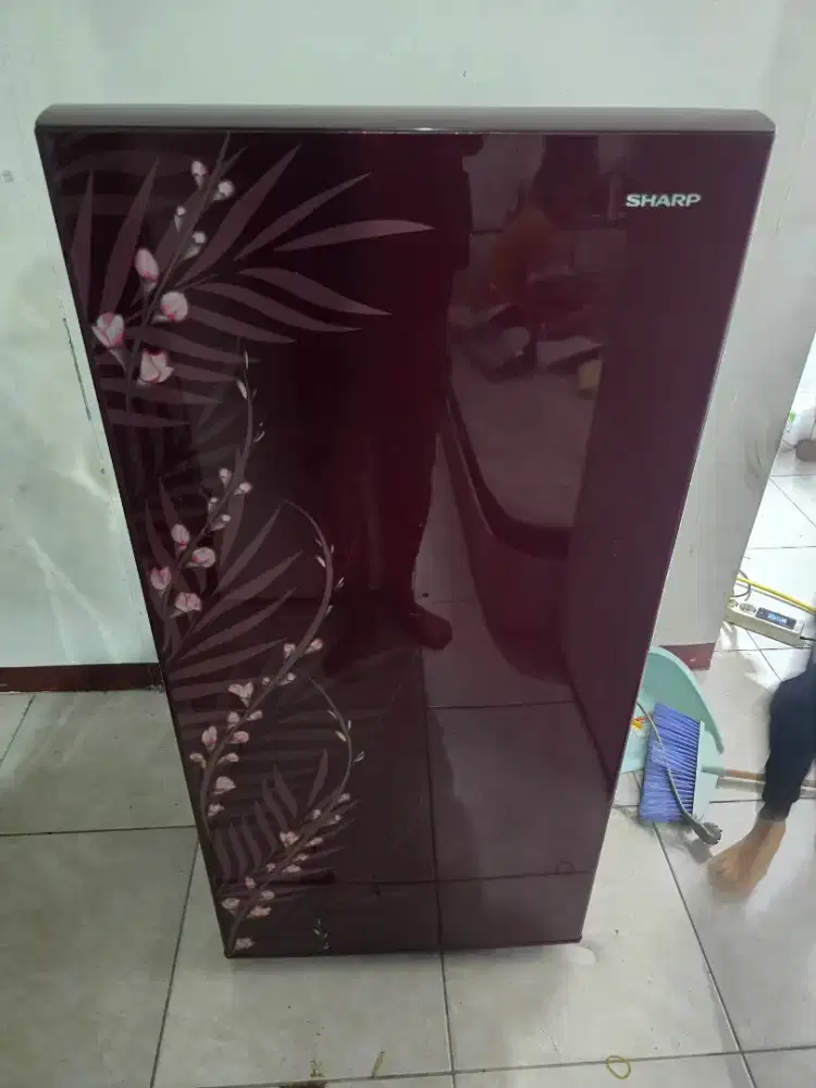 kulkas 1 pintu sharp