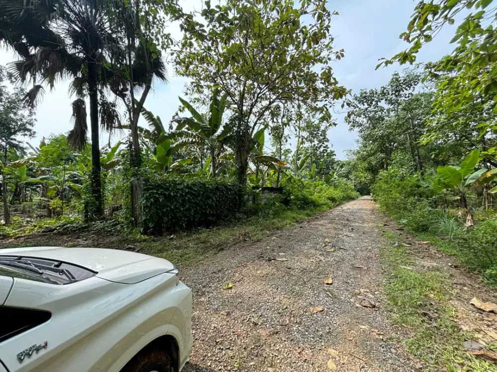 Lahan Klapanunggal Bogor 14 HA Tanah Datar Akses Jalan 2 Mobil