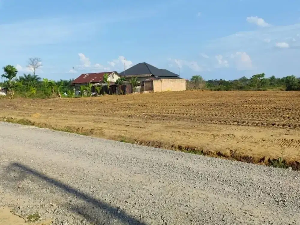 Jual Cepat Tanah Dekat Simpang Ahok