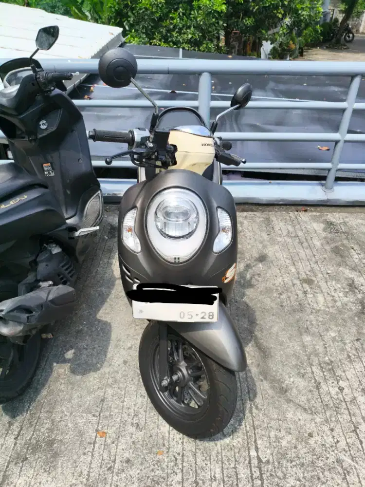 Scoopy CBS 2023