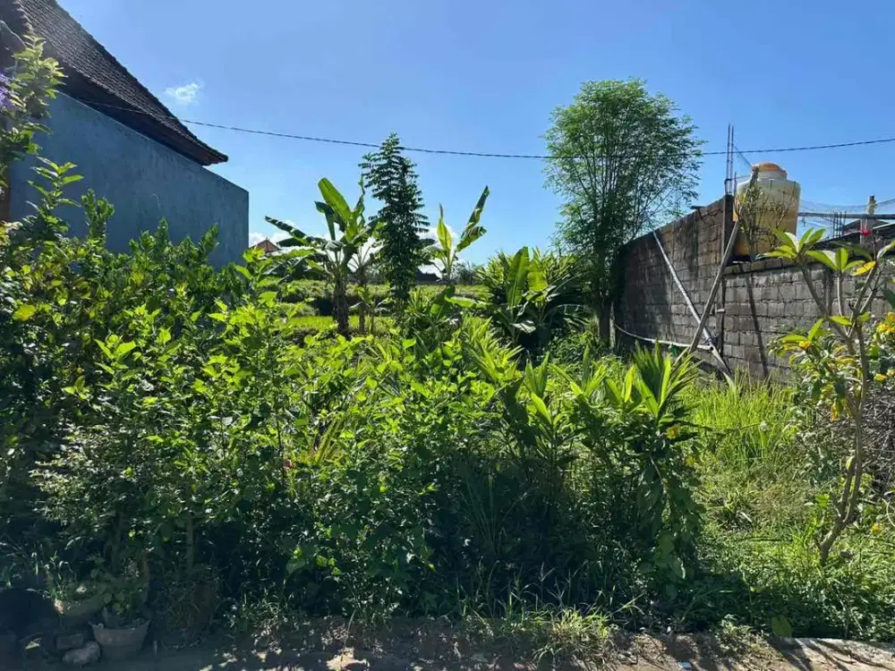 Tanah Langka View Sawah Dekat dengan Pantai Keramas & Pantai Saba