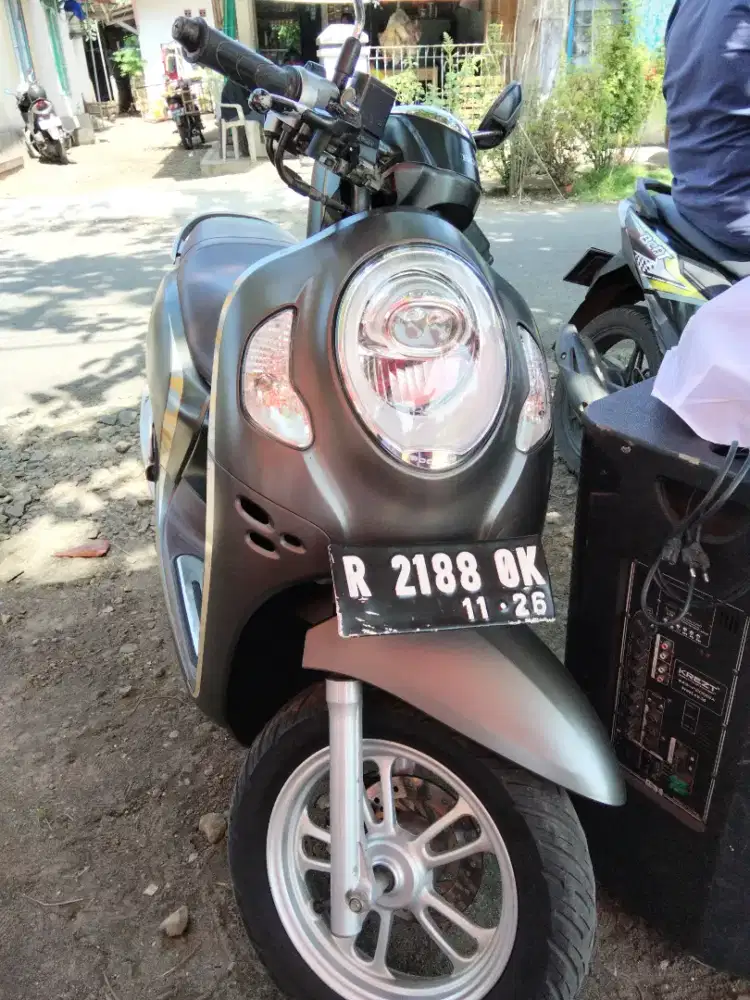 Scoopy stylis 2021