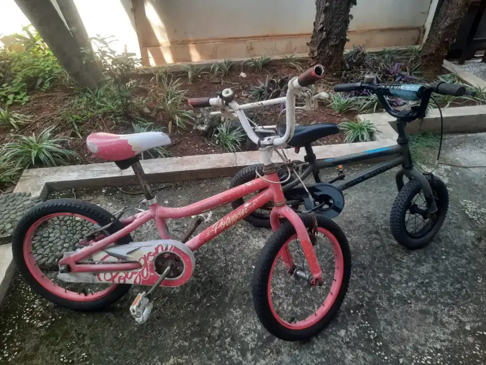 Sepeda polygon anak