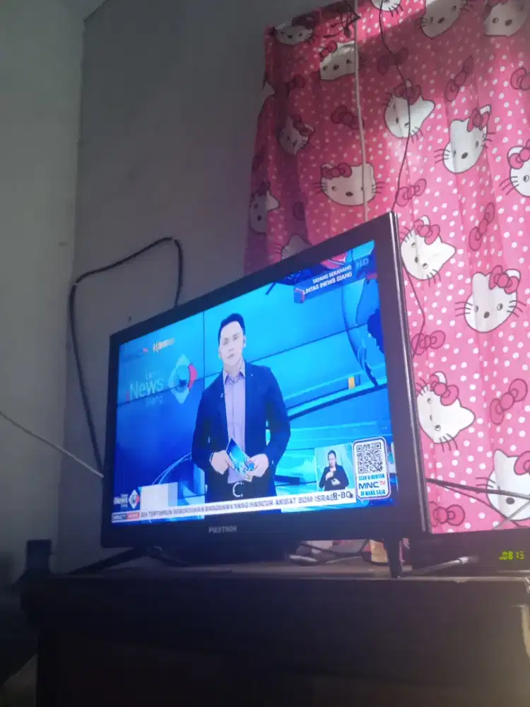TV polytron 24inc