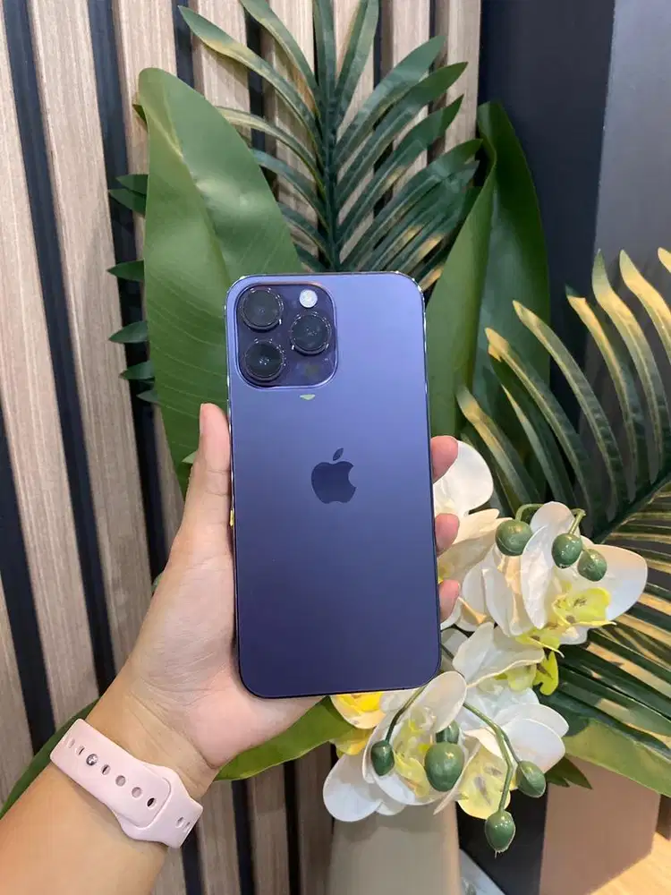 sec resmi ip 14 pm 256gb deep purple