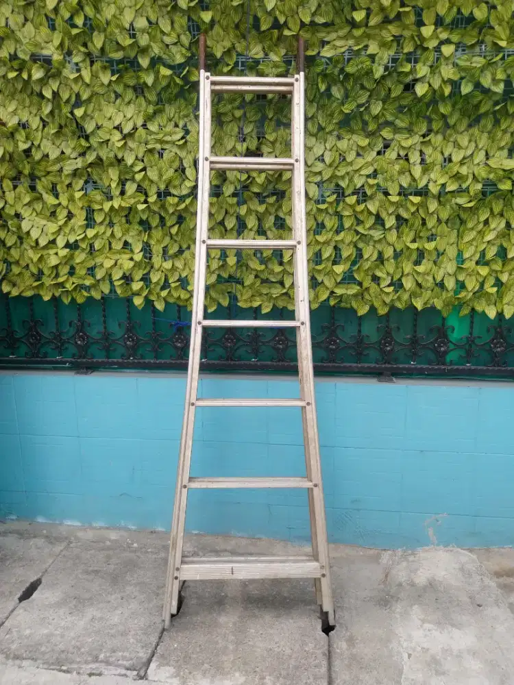 Jual Tannga lipat