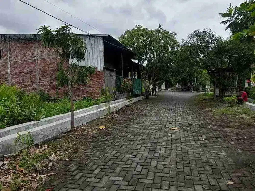 tanah Girimulyo Mukti Tlogomulyo Pedurungan