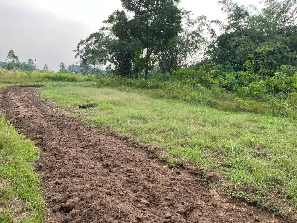Tanah Tigaraksa bukan pinggir jalan bisa beli 500 meter pas unk invest