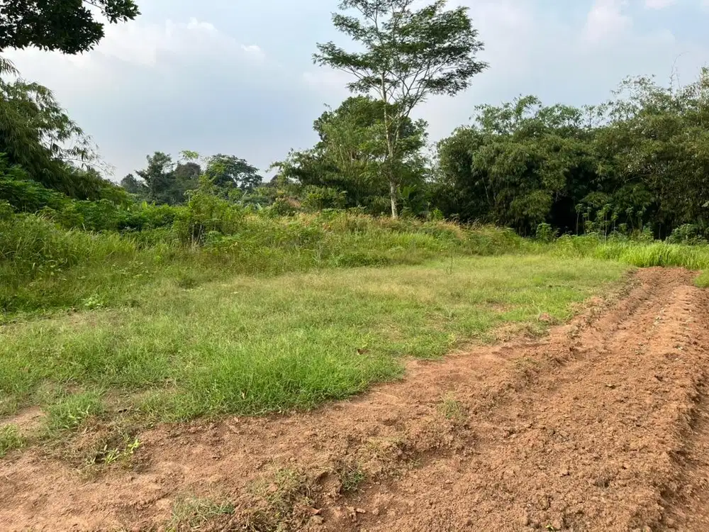 Tanah Tigaraksa Bukan Pinggir Jalan Bisa Beli 500 meter,good invest.