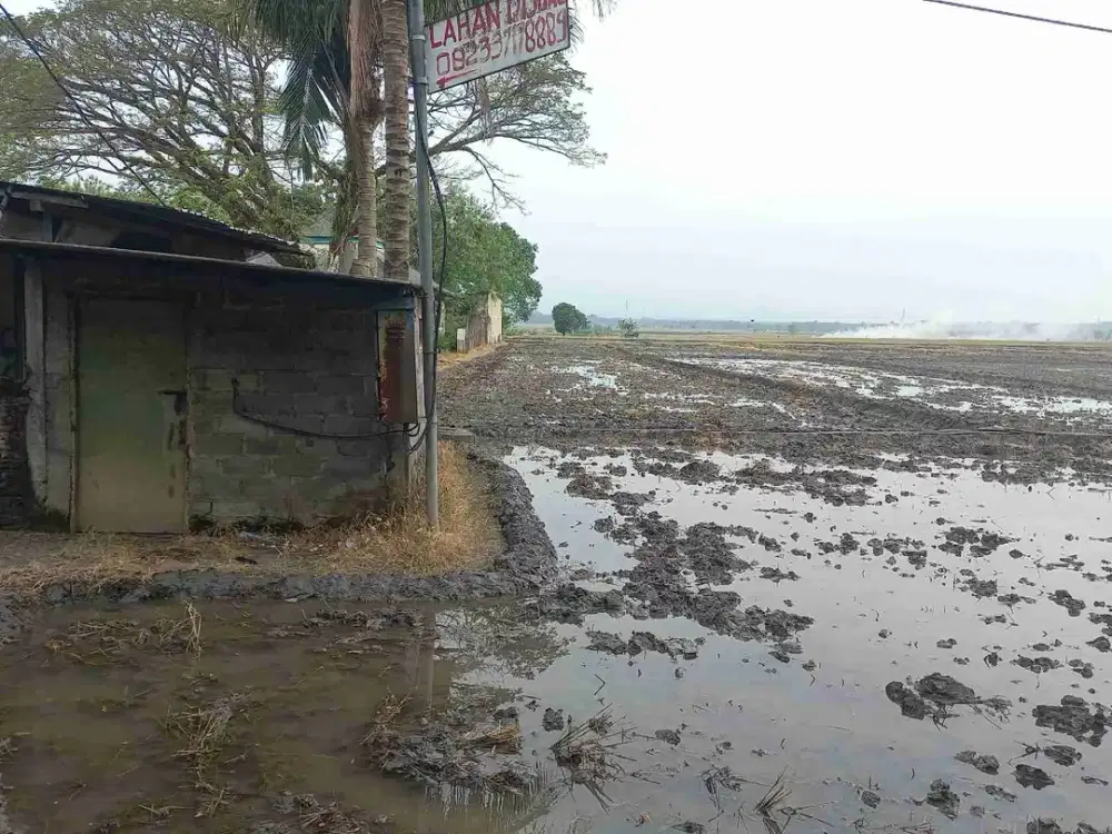 Lahan Luas 50ha Zona Industri di Ngawi