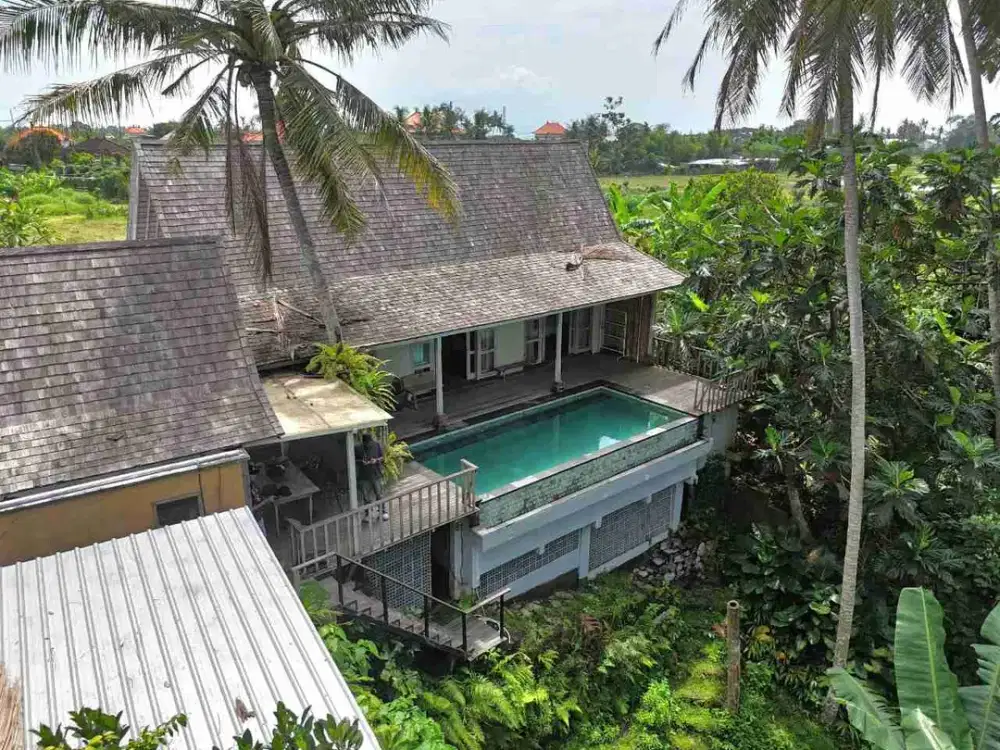 Luxury Villa Classic View Sawah dan Sungai Pantai Purnama