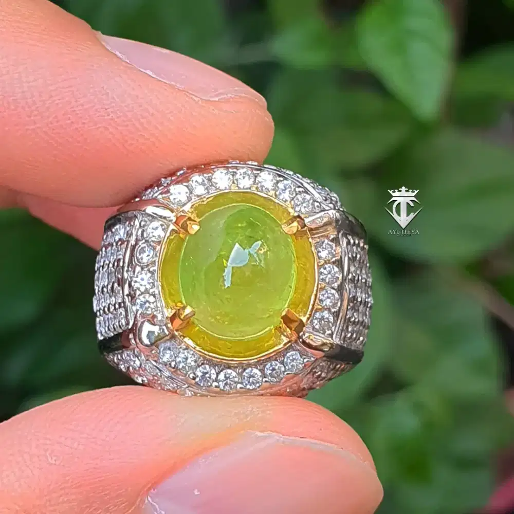 Batu Permata Natural Tsavorite Garnet Tanzania 5.69 Ct NTE CGL Memo