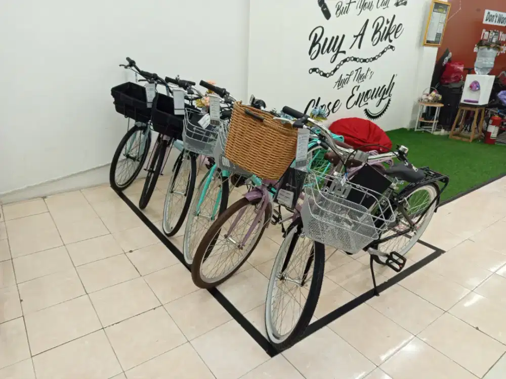 Polygon lady bike