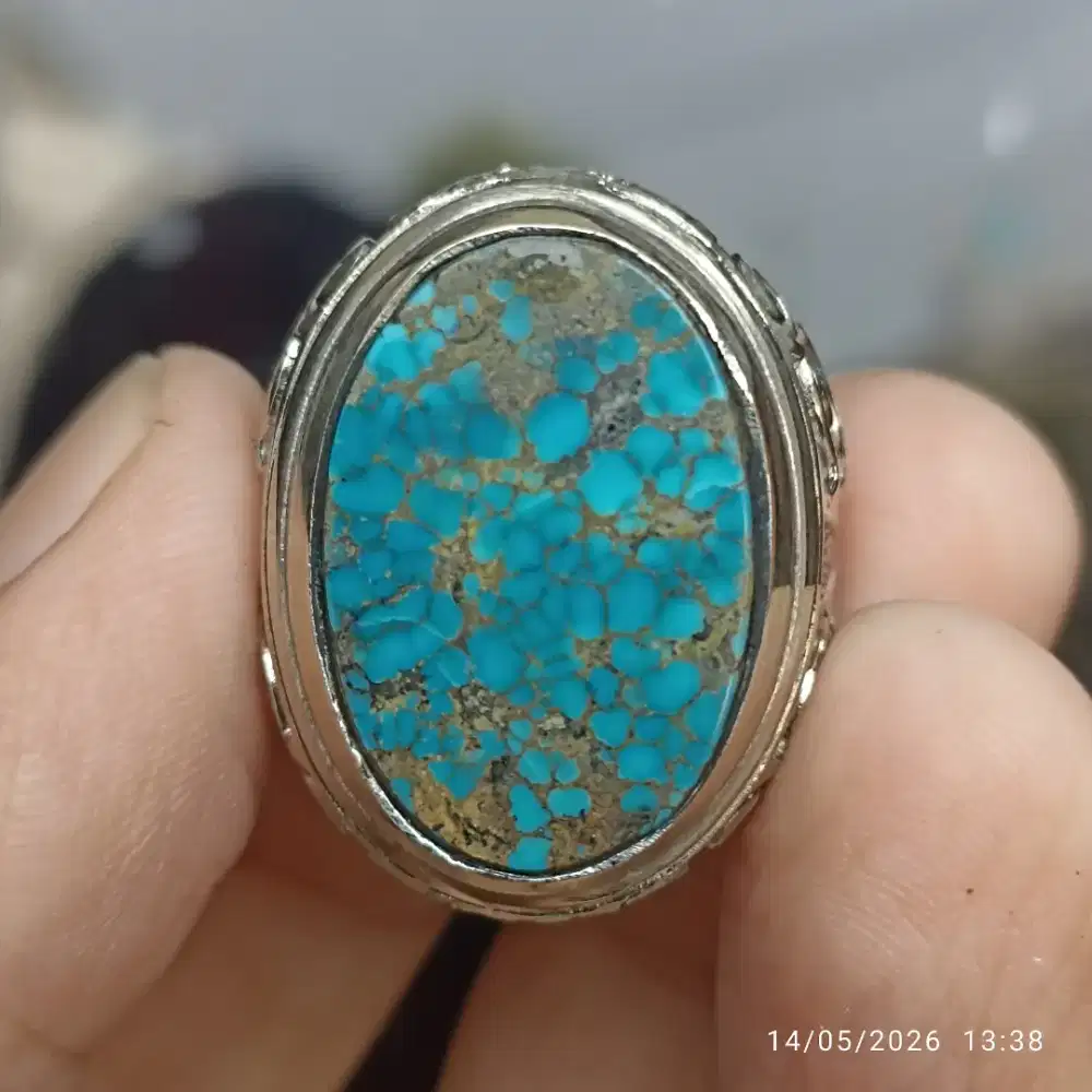Pirus persia biru medium size