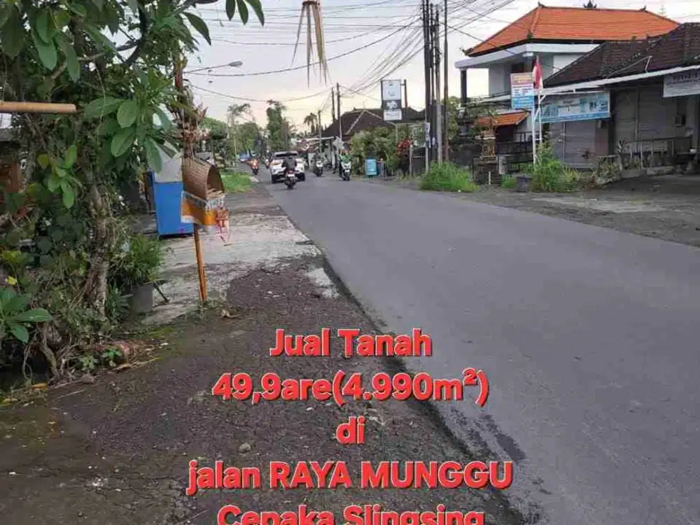 jual tanah 49,9 are raya kapal munggu