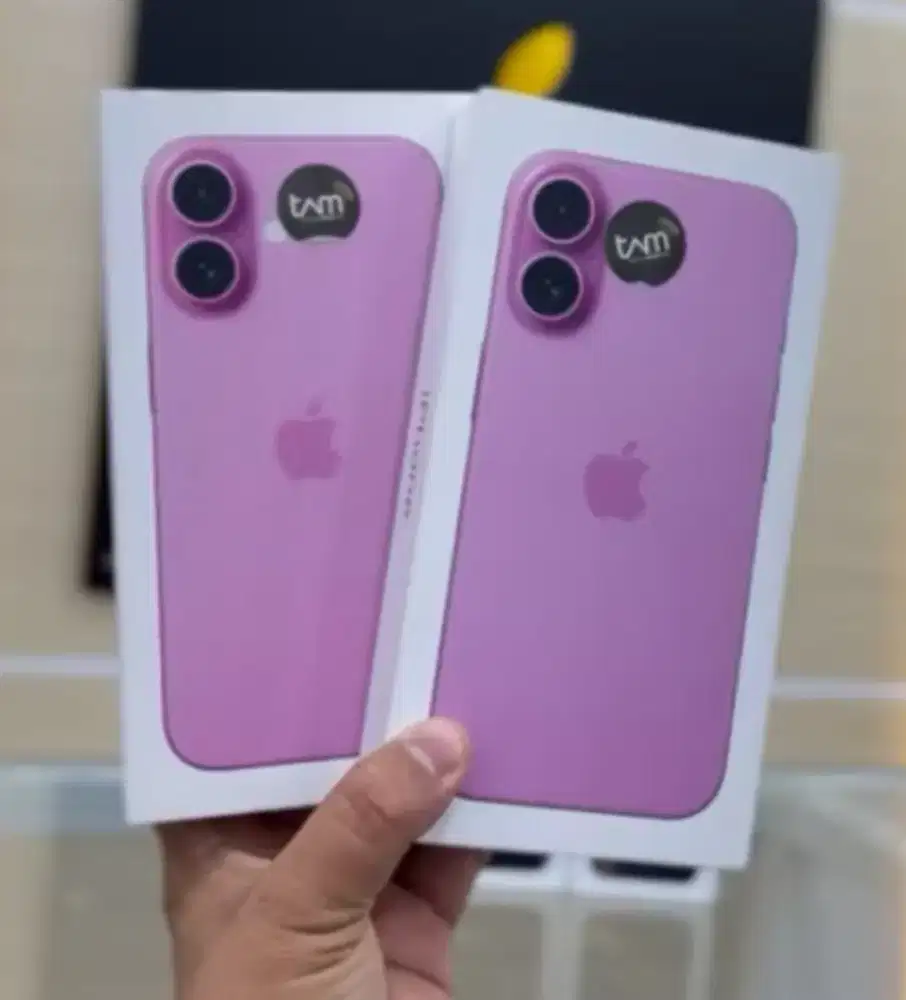 IP 16 256 & IP 15 256 BASIC