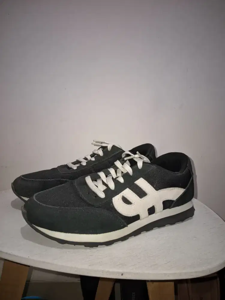 Hush puppies like new murmer