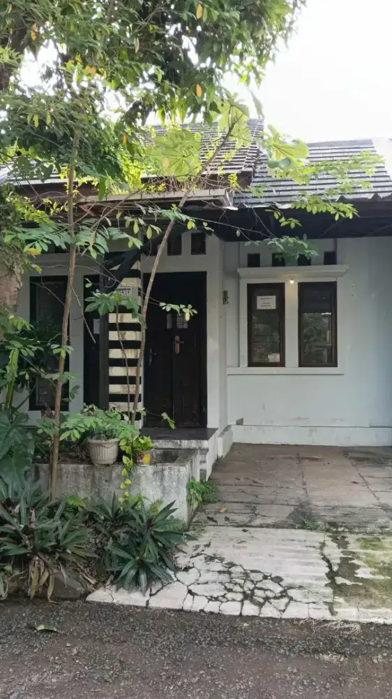 Dikontrakkan Rumah di Cluster Primerose Grand Sentul - dekat masjid