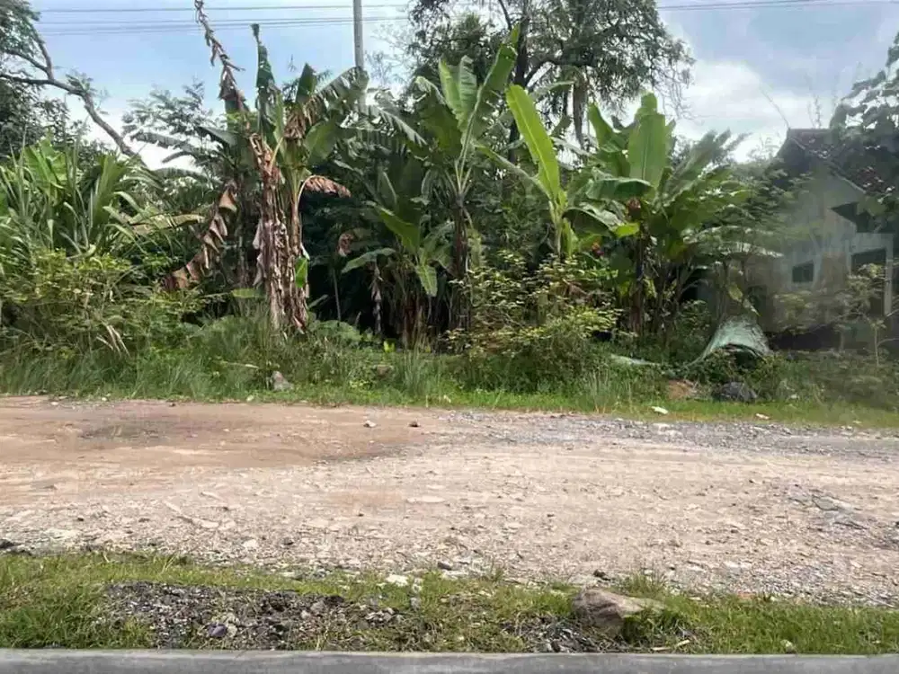 tanah 1,1 hektar di candimas natar
