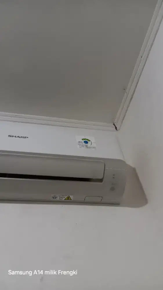 Ac Sharp 1/2 PK