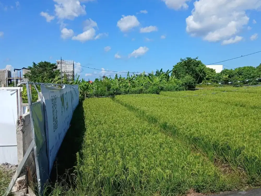 Over Kontrak Tanah Strategis di Padonan – Dekat Canggu & Berawa