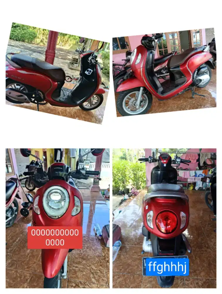 Scoopy Stylish 2022