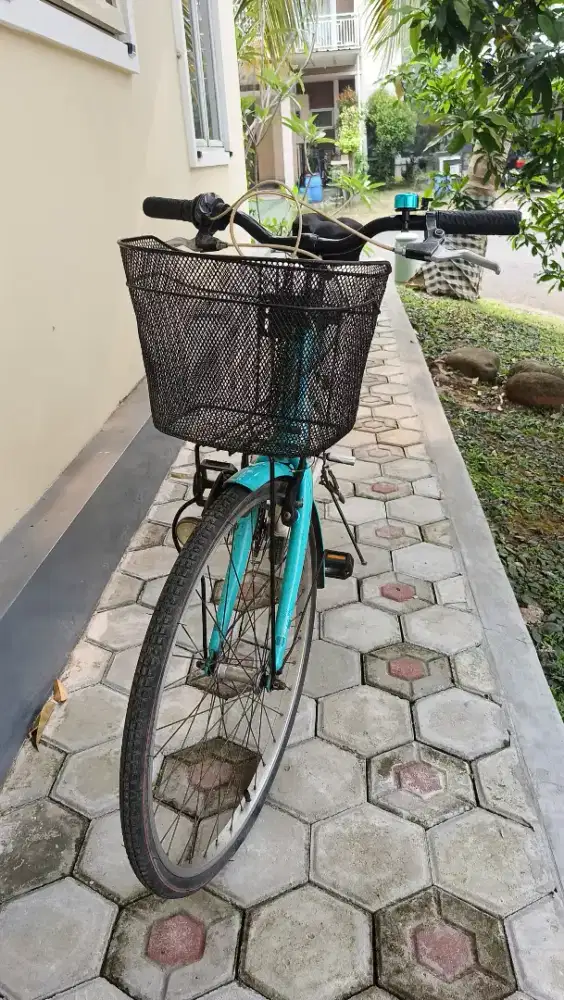 Sepeda Polygon Sierra Lady 26