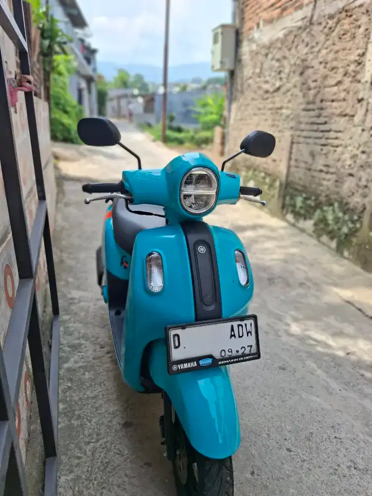 Fazzio 2022 Mulus