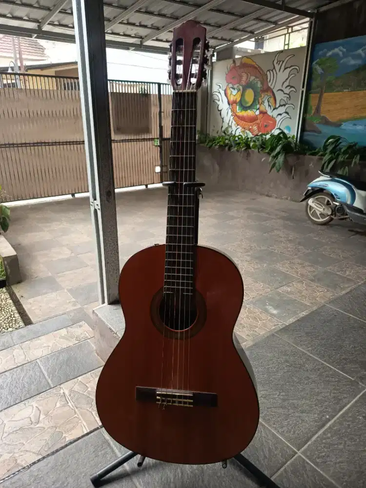 Jual guitar YAMAHA CGX102