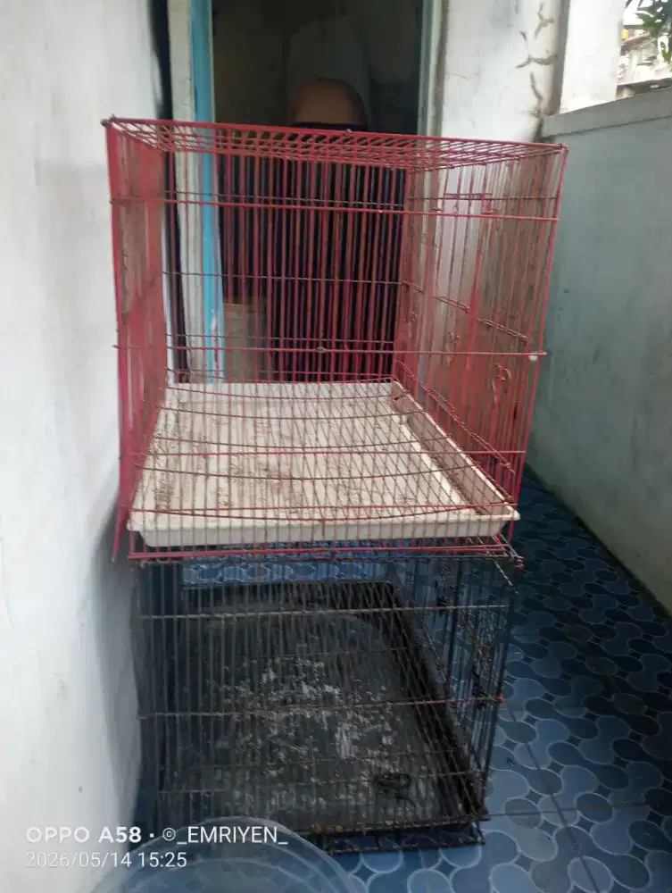Kandang besi bekas burung kenari