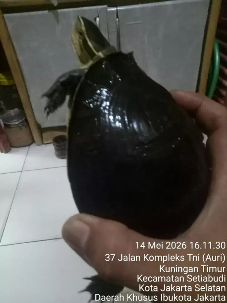 JUAL SANTAI SAMBIL NGOPI
