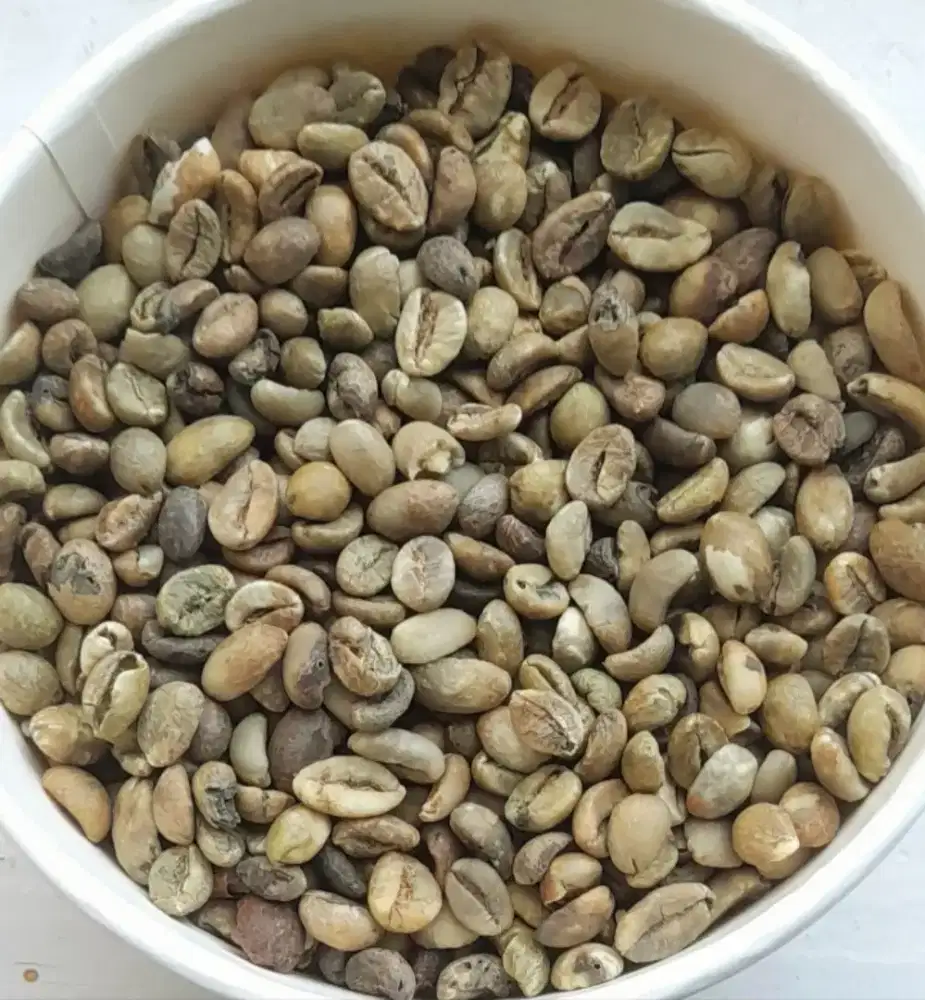 Kopi biji besar Lampung