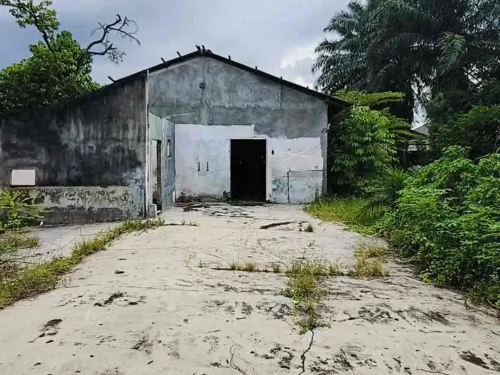 16.091 m^ Kadang rezeki besar dimulai dari sebidang tanah sederhana