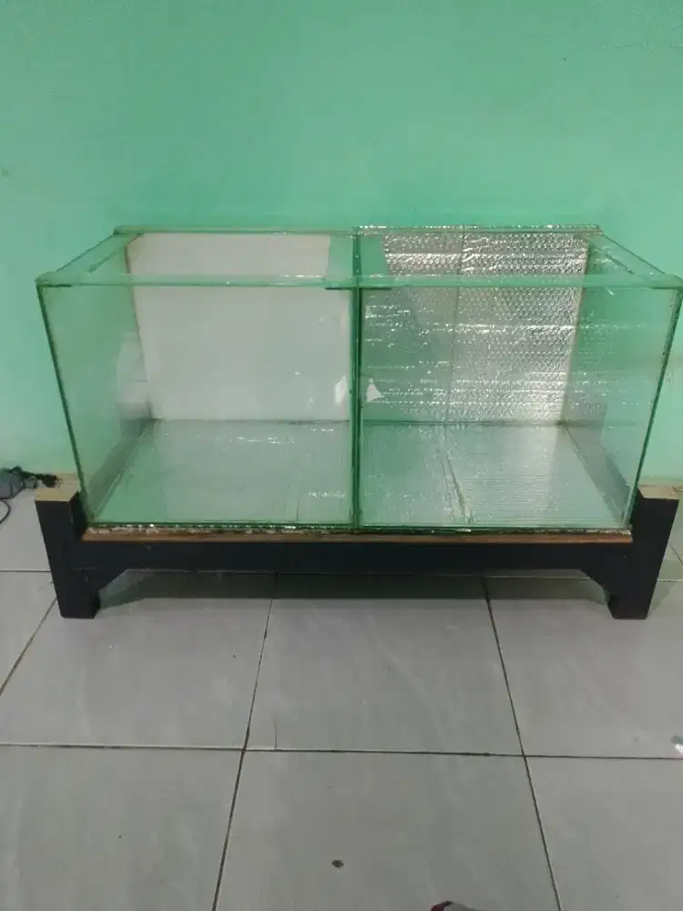 Aquarium/akuarium louhan chana