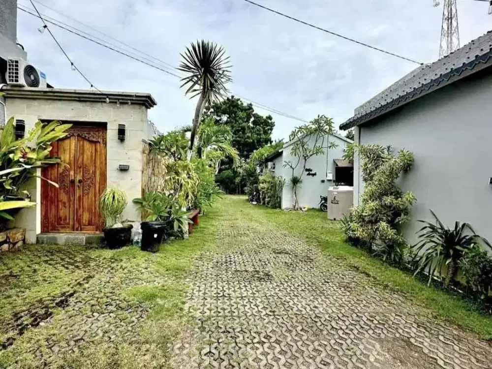 For sale

Villa lantai 1 pandawa nusa dua kuta selatan